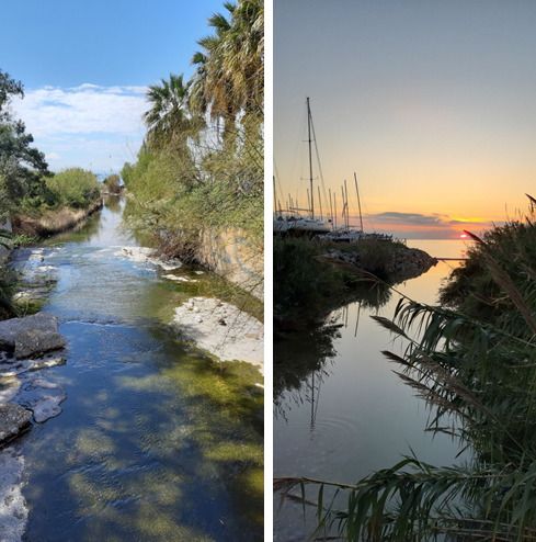O Δήμος Αλίμου συμμετέχει στο νέο ευρωπαϊκό έργο «Πρέσβεις των ευρωπαϊκών Υγροβιότοπων (ΑΜΗΕ)»