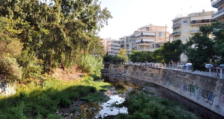 Νεκρά χέλια από τη ρύπανση στο ρέμα της Πικροδάφνης