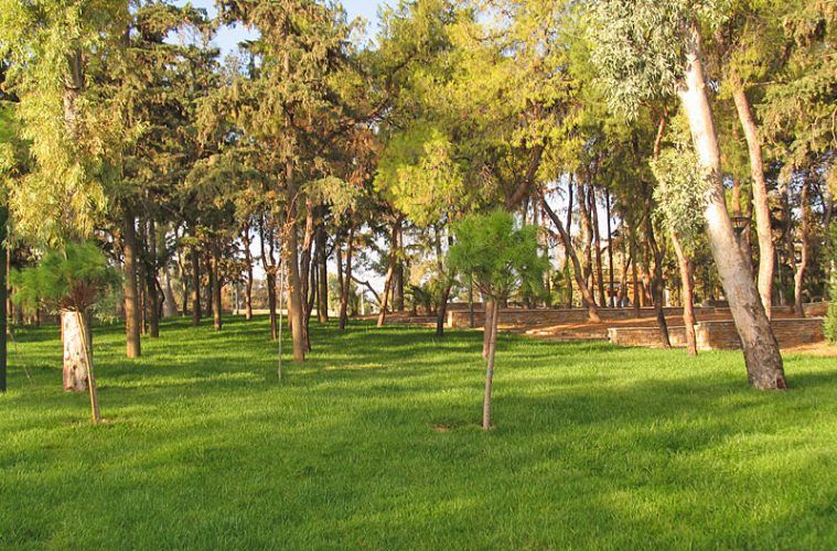 Ο Δήμος Νέας Σμύρνης αποκτά το δικό του θερμοκήπιο