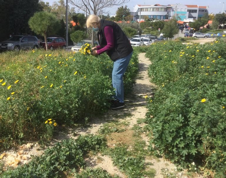 Την άνοιξη τη φτιάχνεις
