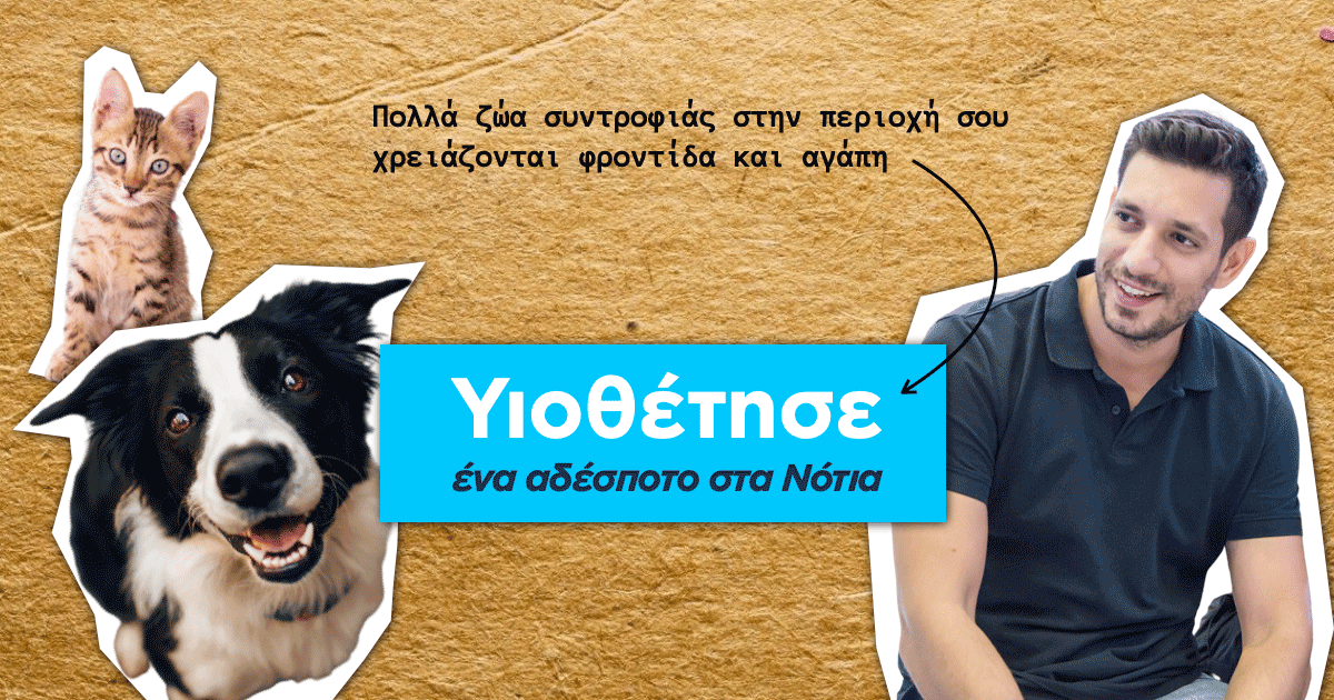 Καμπάνια για τα αδέσποτα των Νοτίων ξεκίνησε ο Κωνσταντίνος Κυρανάκης