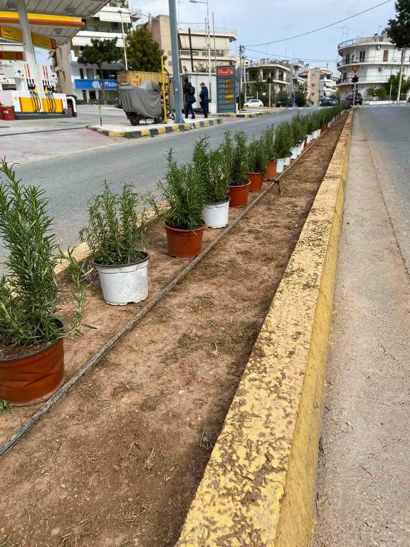 Γέμισε φυτά η νησίδα της λεωφόρου Κυθηρίων