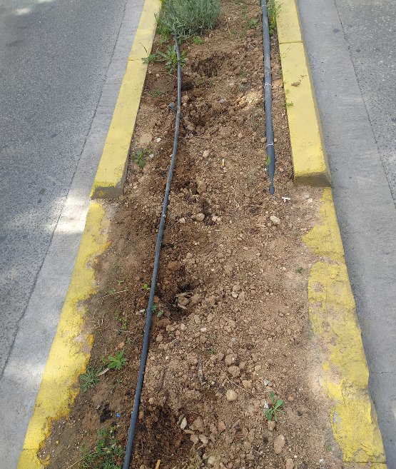 Ξερίζωσαν φυτά από τη νησίδα της Κυθηρίων