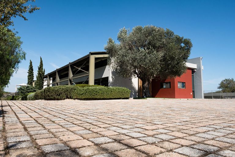 Επίσκεψη οινογνωσίας για τους Αλιμιώτες στο Βιοκλιματικό Οινοποιείο «Παπαγιαννάκος»