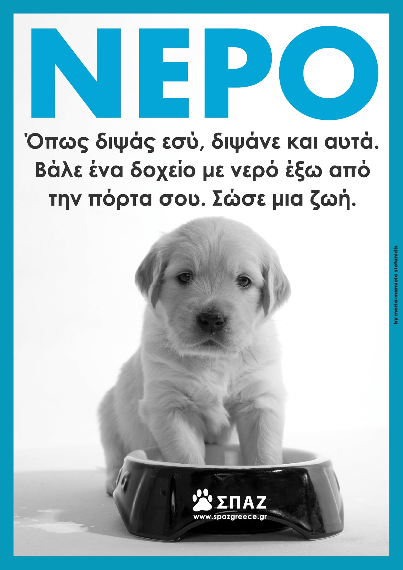 Ας βάλουμε λίγο νερό στα αδεσποτάκια της πόλης