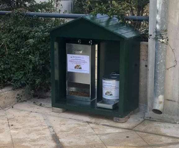 Τροφή και νερό βάζουν στα αδέσποτα οι υπάλληλοι του Δήμου Παλαιού Φαλήρου