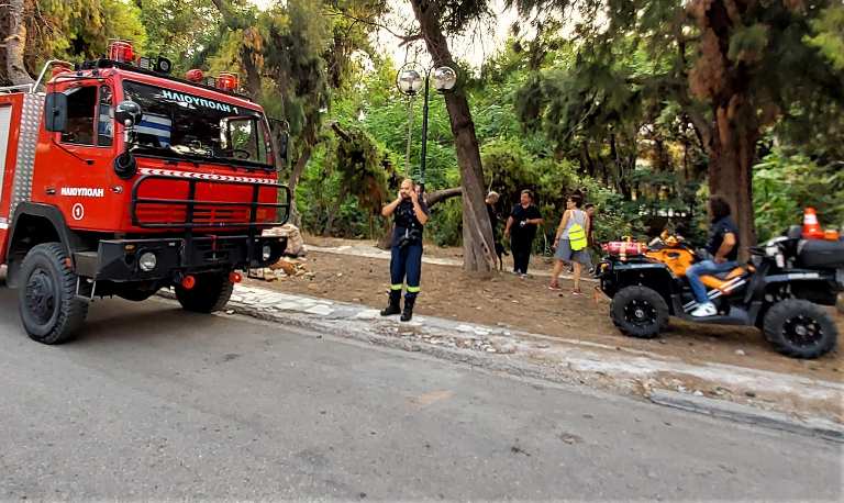 Απόπειρα εμπρησμού καταγγέλλει ο Δήμαρχος Ηλιούπολης για τη φωτιά που ξέσπασε στο ρέμα της Πικροδάφνης