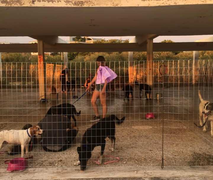Μέχρι αύριο θα παραμείνει το προσωρινό καταφύγιο στην Α’ Πλαζ Βούλας