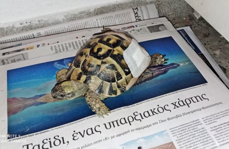 H ANIMA έχει ανάγκη από εφημερίδες