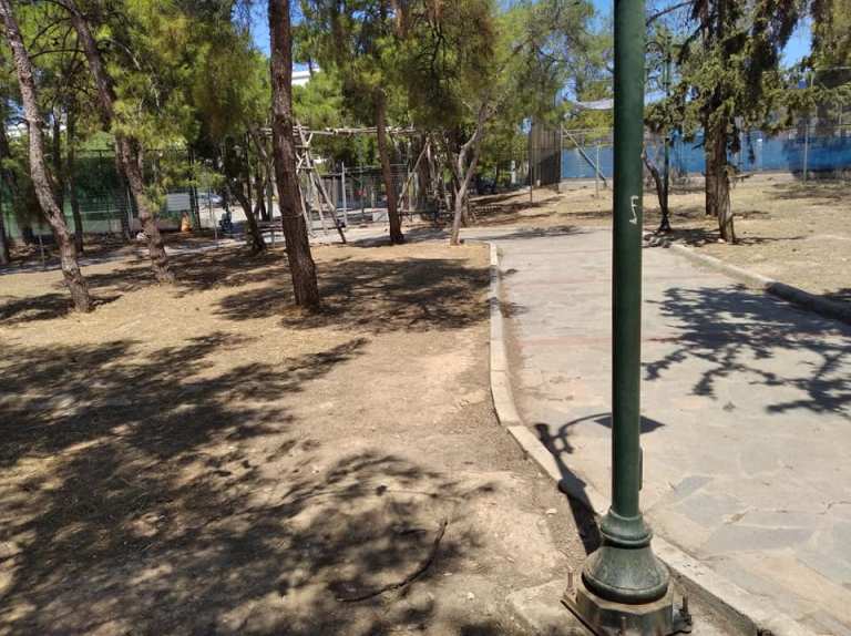 Σε αποψίλωση και καθαρισμό του άλσους Θράκης θα προχωρήσουν οι πρόσκοποι
