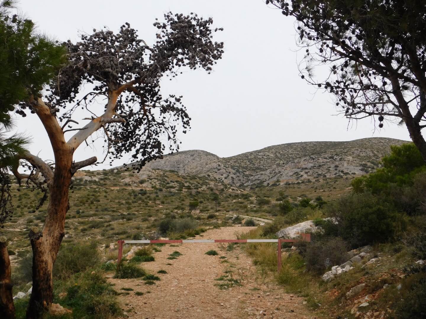 Στον Υμηττό συνεχίζονται οι εθελοντικές περιπολίες  