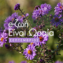 Η Ζωή είναι Ωραία: Το πρόγραμμα του Σεπτεμβρίου