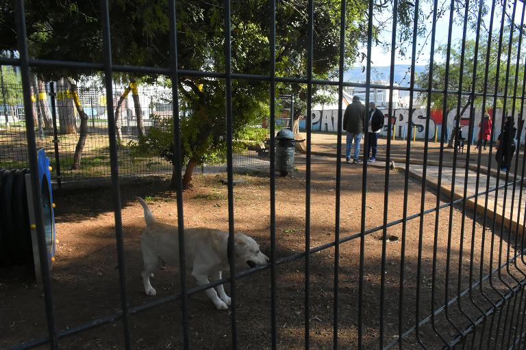 Σταματά η λειτουργία του 1ου Πάρκου Σκύλων στη Νέα Σμύρνη