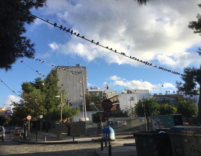 Τι πιθανότητες έχουμε να περάσουμε «αλώβητοι» από την οδό Αυξεντίου;