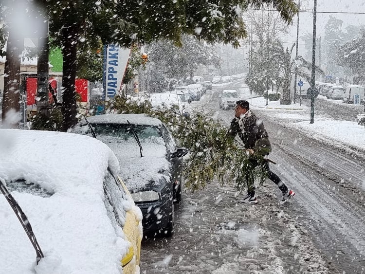 Η ενημέρωση του Ανδρέα Κονδύλη σχετικά με τα σπασμένα κλαδιά και τα δέντρα που έπεσαν