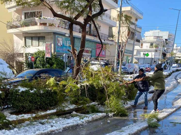Η ενημέρωση του Ανδρέα Κονδύλη για τα σπασμένα κλαδιά που ακουμπάνε πάνω σε καλώδια της ΔΕΗ