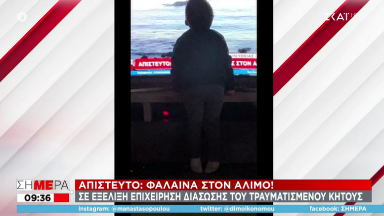 Πιτσιρικάς φιλάει την τηλεόραση που δείχνει τη φάλαινα