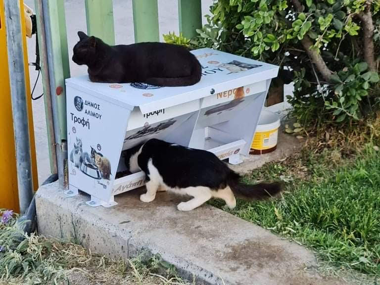 Ποτίστρες και ταϊστρες έχει τοποθετήσει ο Δήμος Αλίμου για τα αδεσποτάκια