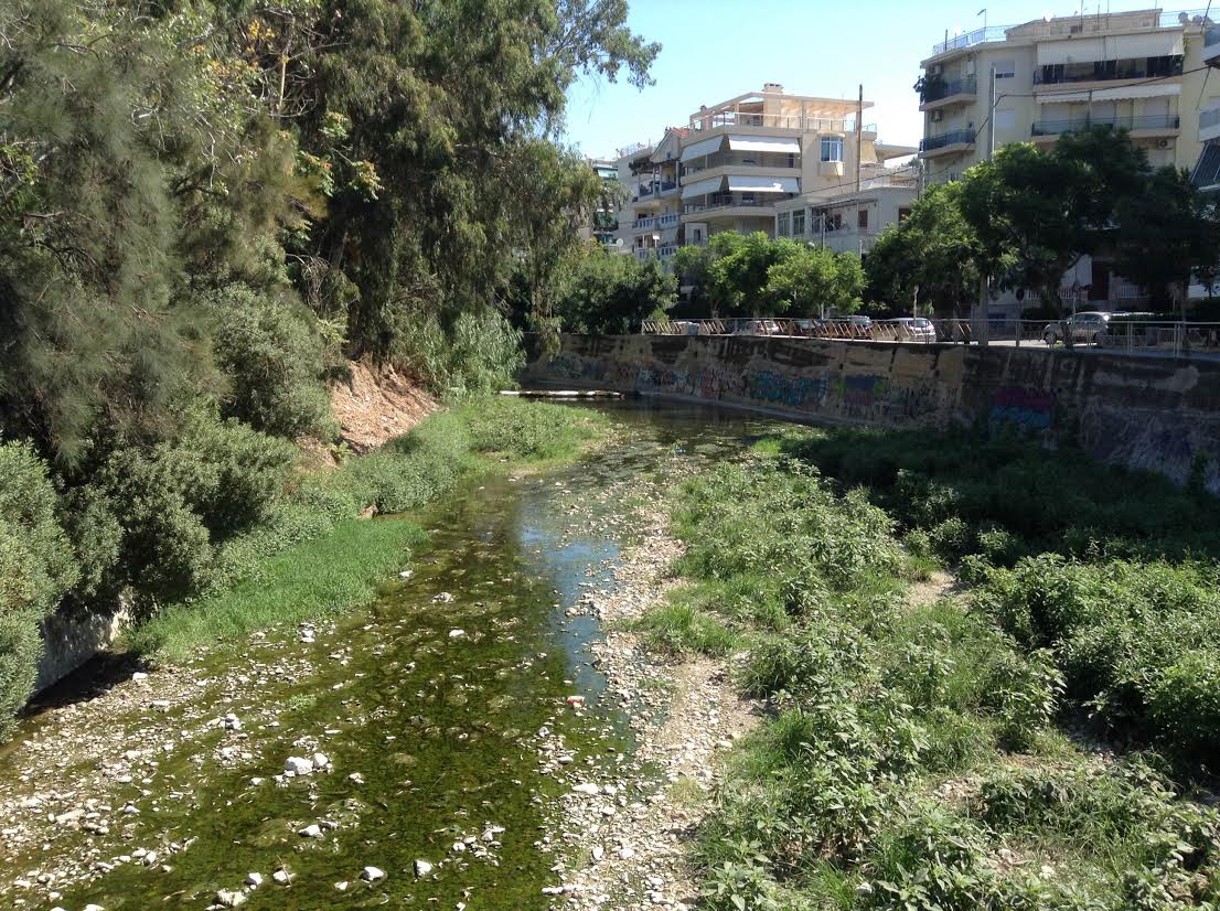 170 δέντρα φυτεύτηκαν κατά μήκος του ρέματος Πικροδάφνης