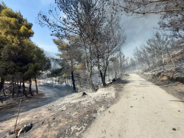Πολιτική Προστασία για φωτιά στη Βούλα: Τρεις διαφορετικές εστίες στην περιοχή