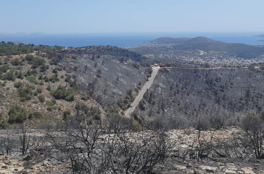 Φωτιά στη Βούλα: Η επόμενη μέρα