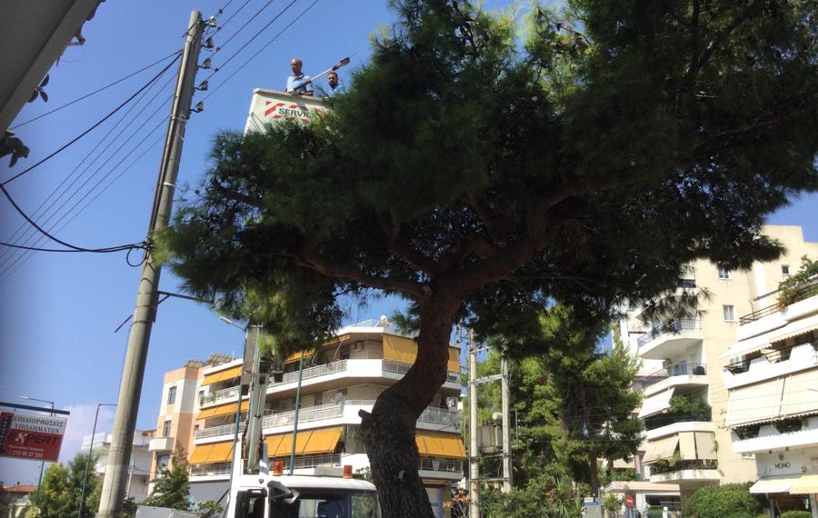 Κόπηκαν κλαδιά που ακουμπούσαν σε καλώδια ρεύματος στη λεωφόρο Ιωνίας