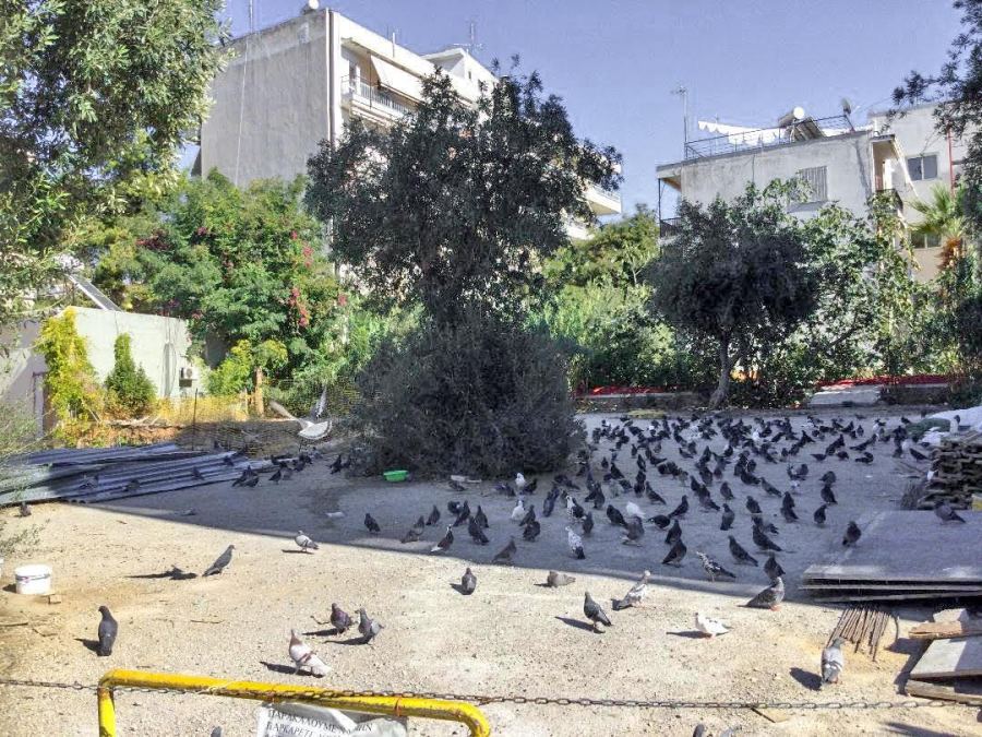 Αυτή είναι η «μάστιγα» της οδού Αυξεντίου