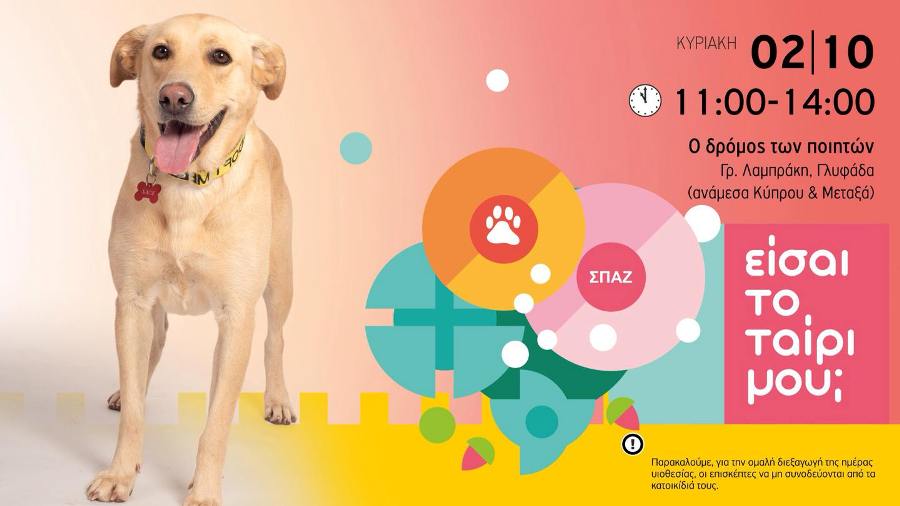 «Είσαι το ταίρι μου»: Γιορτή υιοθεσίας σκύλου στη Γλυφάδα