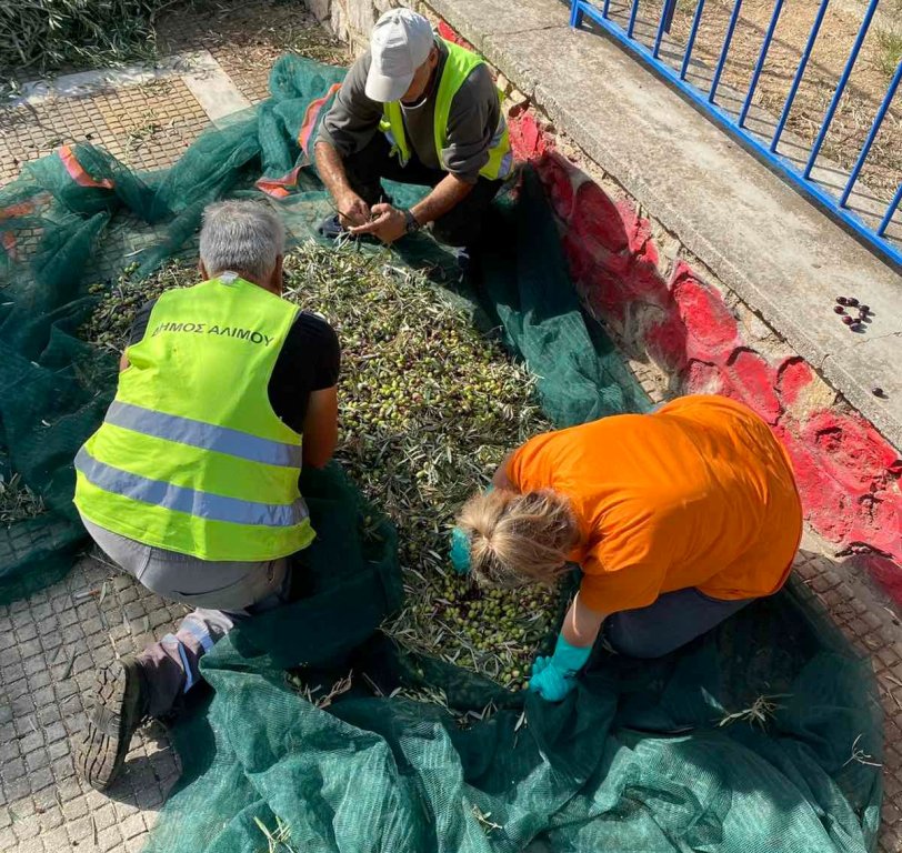 Ξεκίνησαν τα λιομαζώματα στον Άλιμο