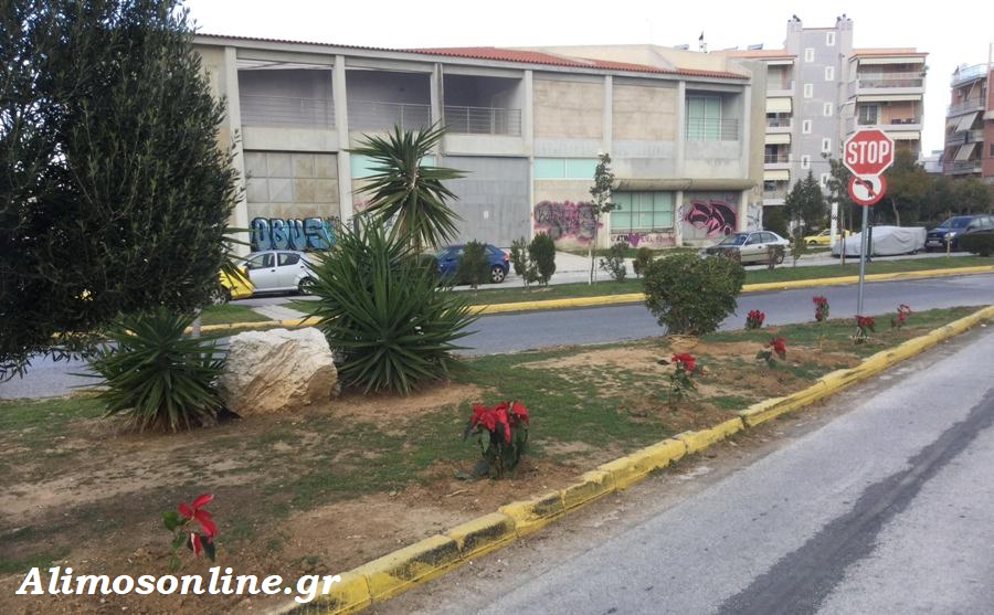 Φυτεύτηκαν ξανά τα Αλεξανδρινά που είχε ξεριζώσει άγνωστος στη λεωφόρο Ιωνίας