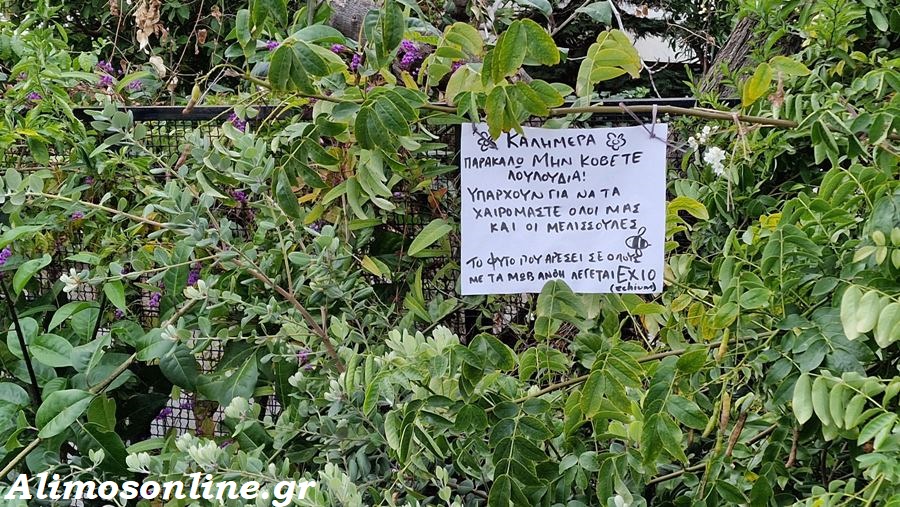 Το γλυκό σημείωμα που είδαμε σε δρόμο του Αλίμου