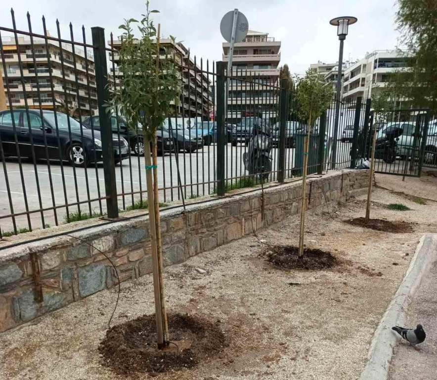 Δεντροφυτεύσεις σε διάφορα σημεία του Αλίμου