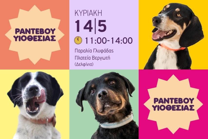Ραντεβού υιοθεσίας σκύλων στην παραλία Γλυφάδας