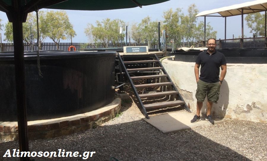 ΑΡΧΕΛΩΝ: Γιορτή θαλάσσιας χελώνας στο κέντρο διάσωσης που βρίσκεται στη Γλυφάδα