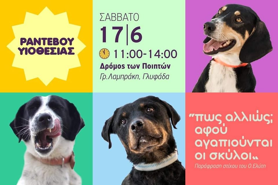 ΣΠΑΖ: Νέο ραντεβού υιοθεσίας σκύλων στον Δρόμο των Ποιητών στη Γλυφάδα