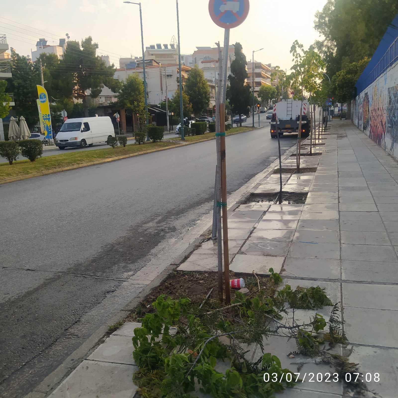 Άγνωστοι ξερίζωσαν (ξανά) τα φύλλα των δέντρων στη λεωφόρο Ιωνίας