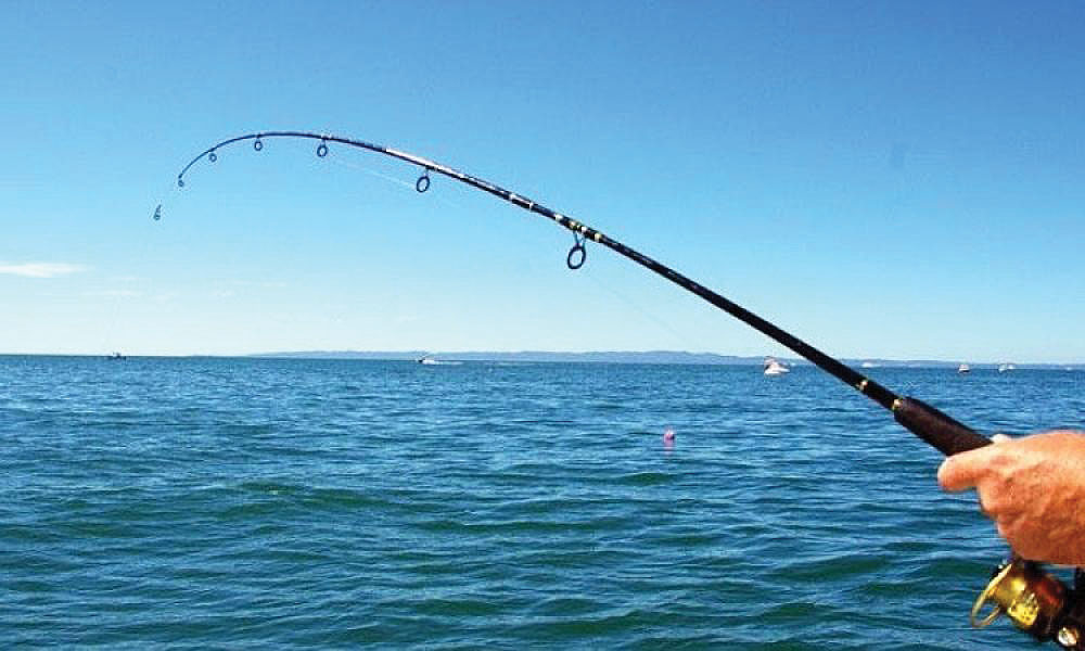 Ο σύλλογος ερασιτεχνών αλιέων θα ψαρέψει για το Κοινωνικό Συσσίτιο Αλίμου