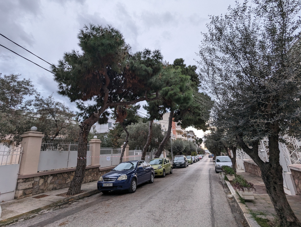 Εργασίες κλαδέματος θα πραγματοποιηθούν στον οδό Αθανασίου Διάκου