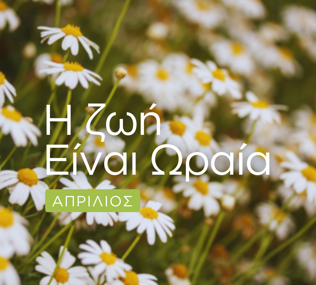 Η Ζωή είναι Ωραία: Το αναλυτικό πρόγραμμα του Απριλίου