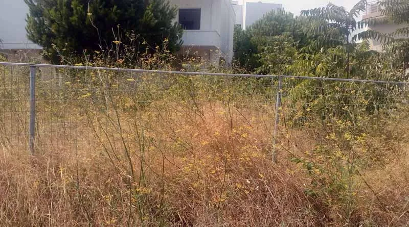 Παράταση προθεσμίας για δηλώσεις καθαρισμού οικοπέδων μέσω της ψηφιακής πλατφόρμας