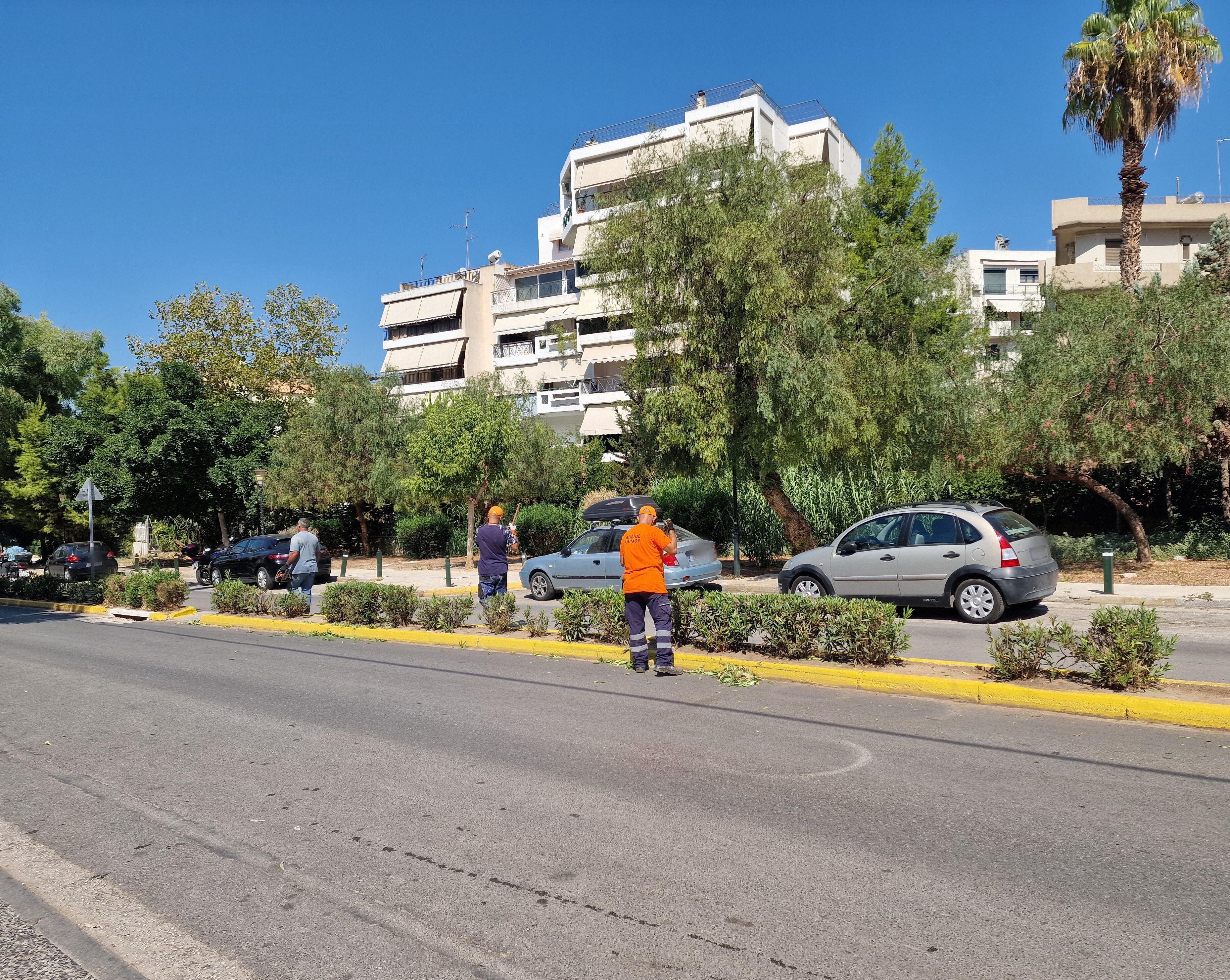 Φροντίδα στις νησίδες της οδού Αγ. Δημητρίου