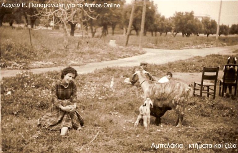 Ξένοιαστη ζωή στα Αμπελάκια του Αλίμου την δεκαετία του ‘50