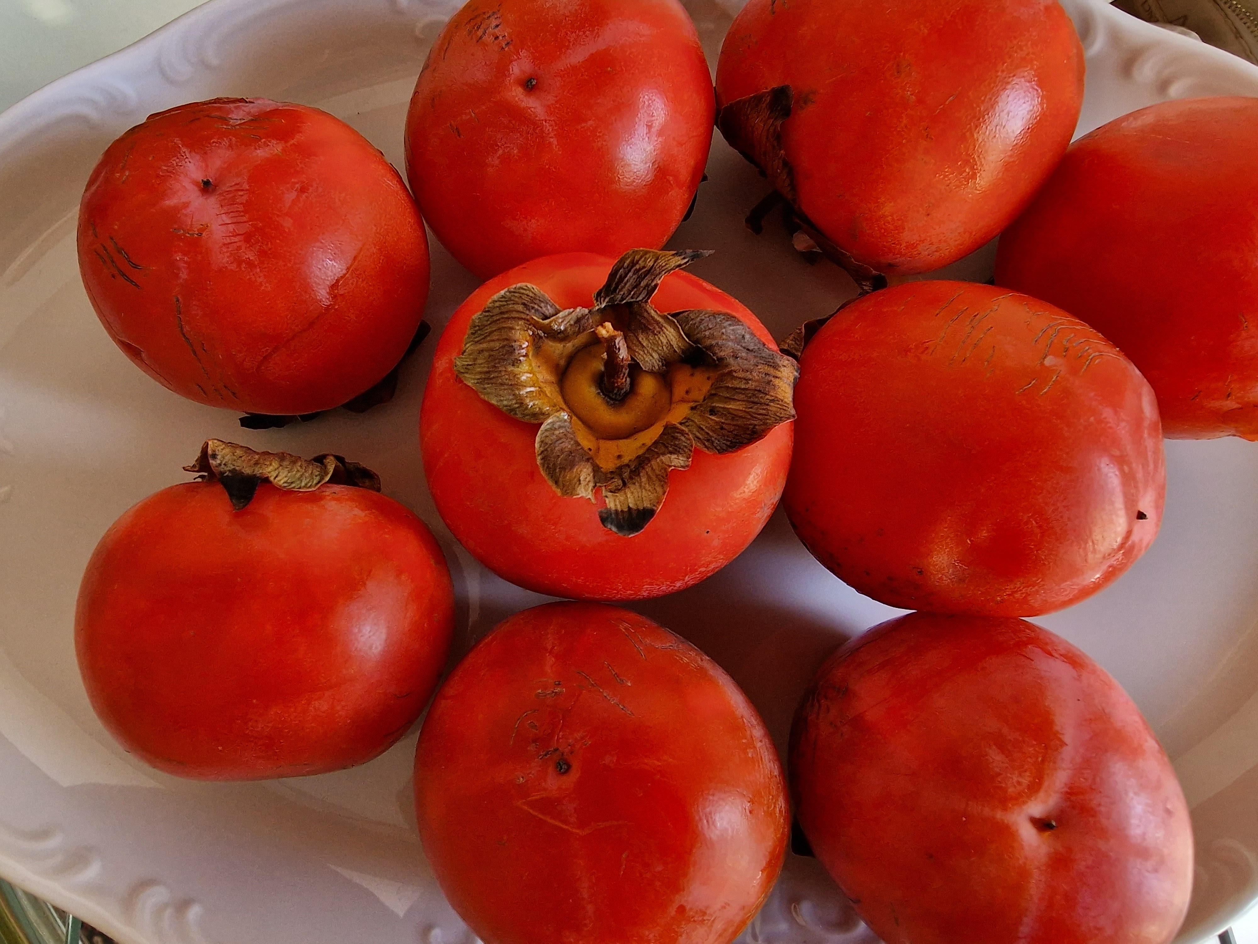 Λωτός: η τροφή των Θεών