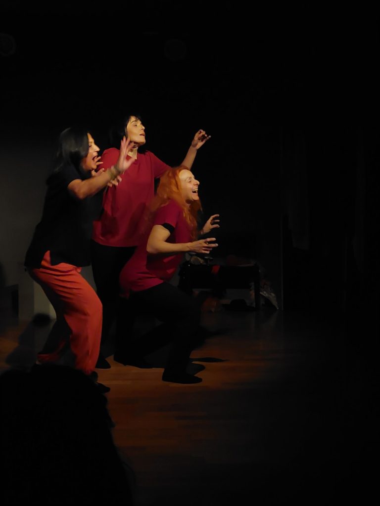 Παράσταση στον Άλιμο από την Ομάδα Θεάτρου Playback Πυρήνας