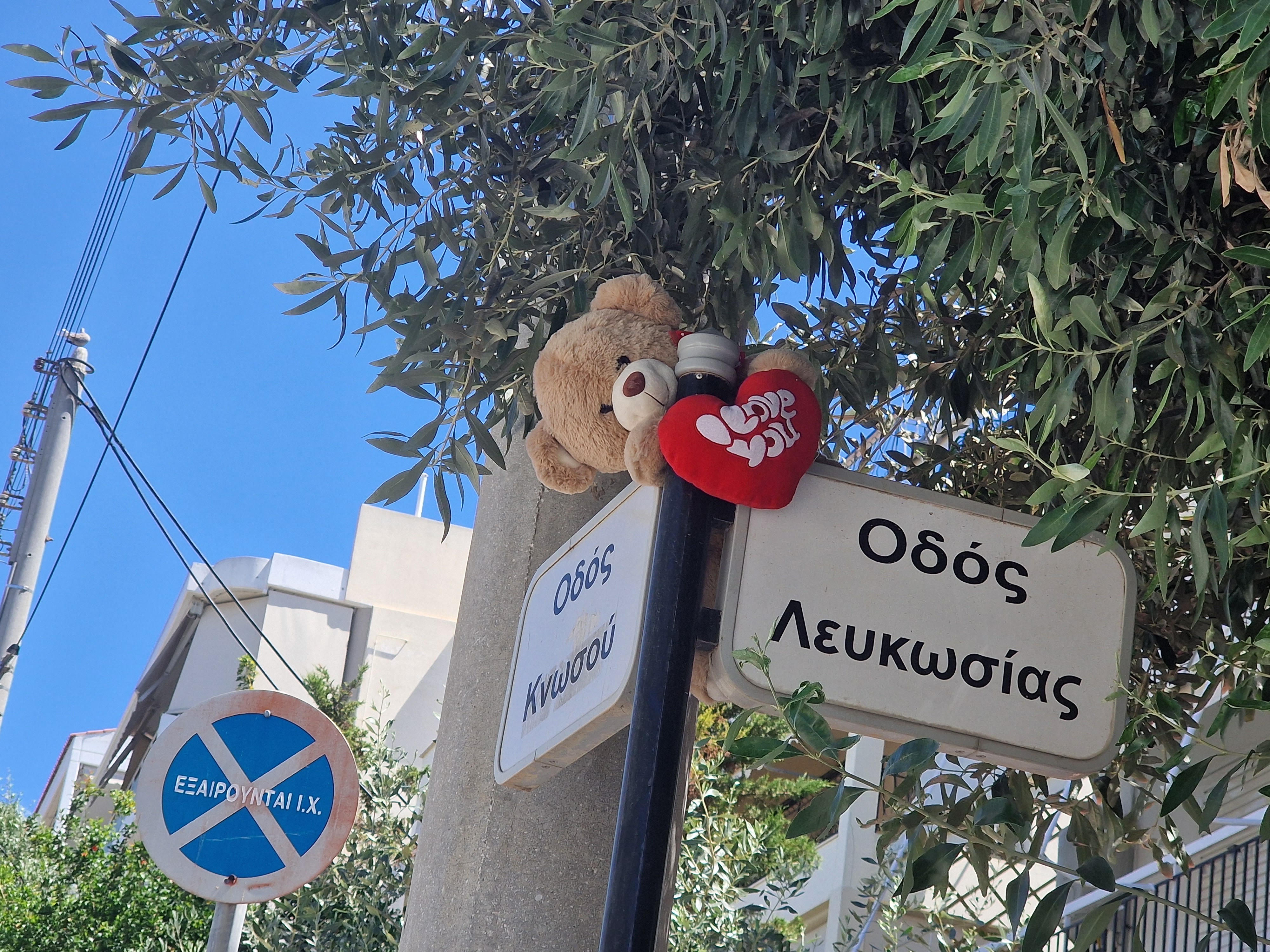 Το αρκουδάκι της γειτονιάς που κάνει τους περαστικούς να χαμογελούν