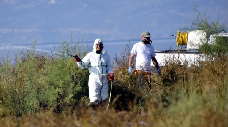Δεύτερο επιβεβαιωμένο κρούσμα του ιού του Δυτικού Νείλου στη Γλυφάδα