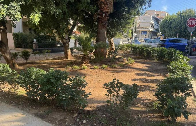 Νέες δεντροφυτεύσεις στον Άλιμο