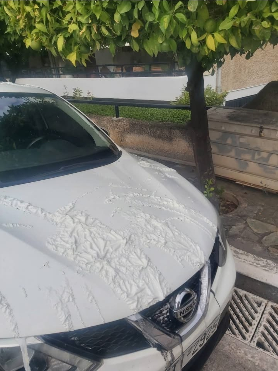 Επίθεση με χημική ουσία στο αυτοκίνητο του Γρηγόρη Λαμπράκη στον Άλιμο